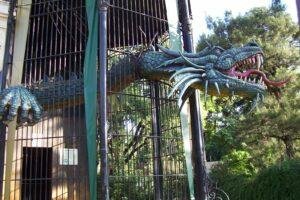 Dragon en BA, Buenos Aires